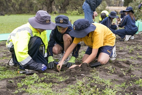 community environment children planting